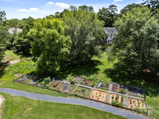 a view of a yard with potted plants and large trees