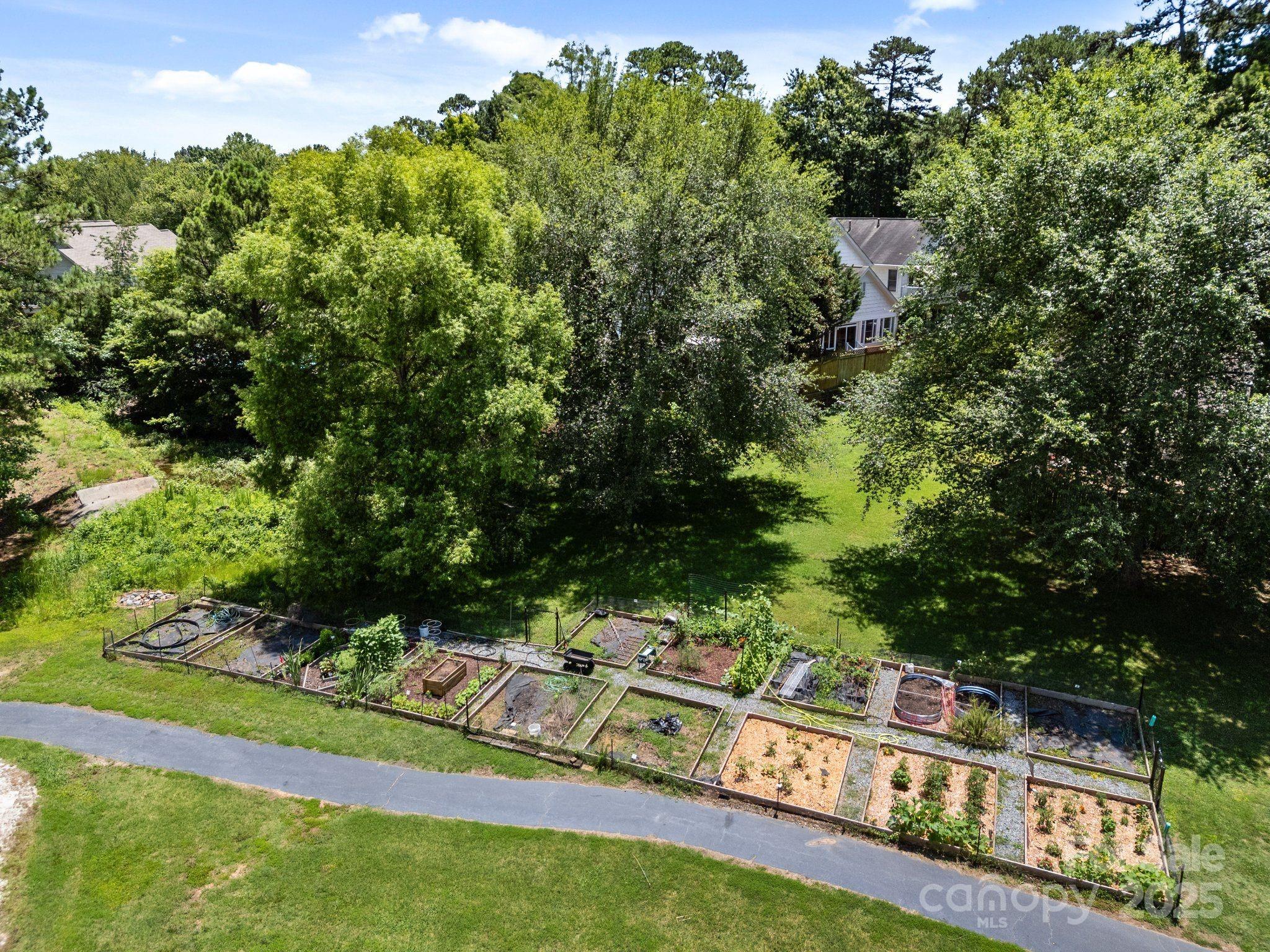 17925 Kings Point Drive, Unit F Cornelius, NC 28031 - Photo 35 of 35 a view of a yard with potted plants and large trees