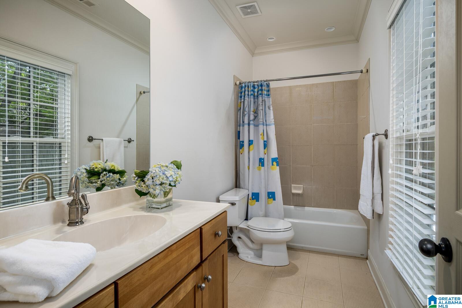 127 Spring Street Mountain Brook, AL 35213 - Photo 43 of 68