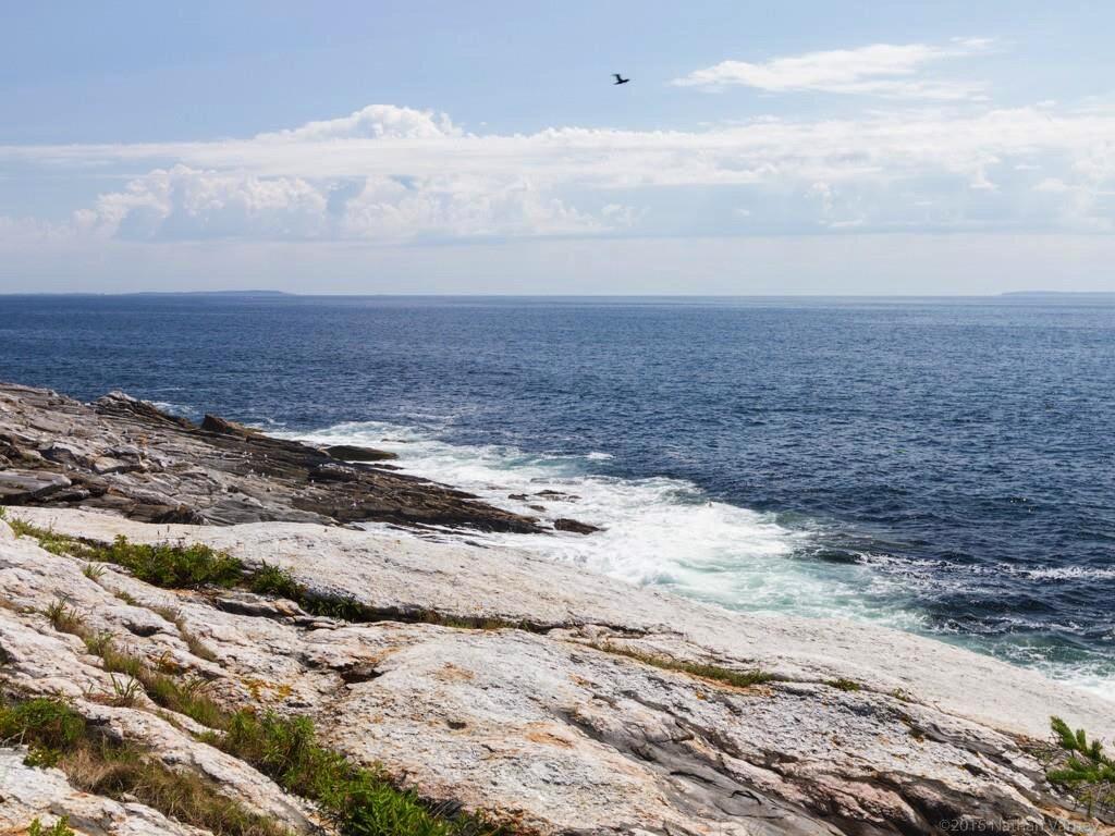 46 Old Mill Road New Harbor, ME 04554 - Photo 11 of 33 CBC7474D-F301-4753-8128-2D75FF05B127_1_1