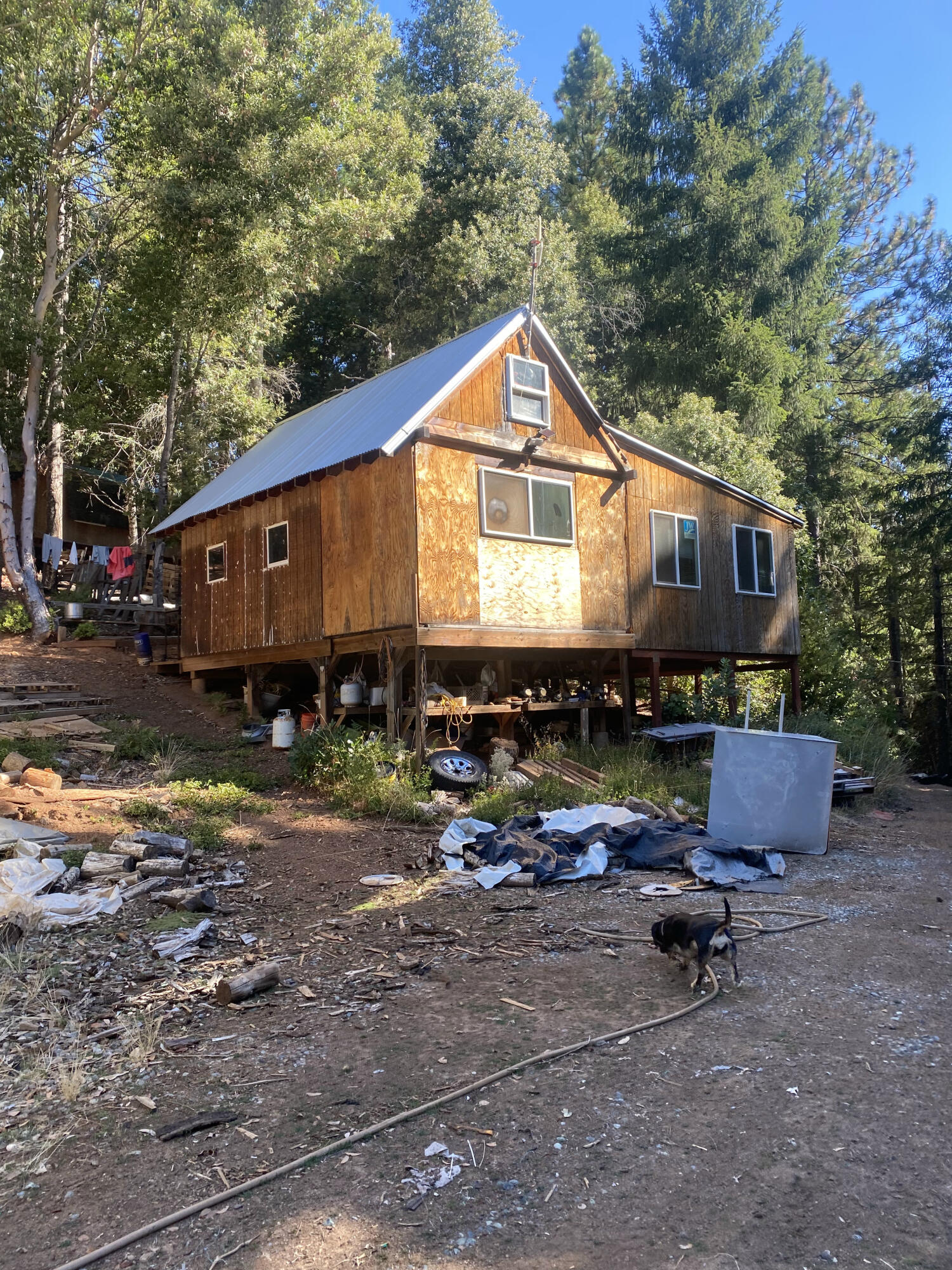 1780 Mcdonald Creek Road Burnt Ranch, CA 95527 - Photo 5 of 58