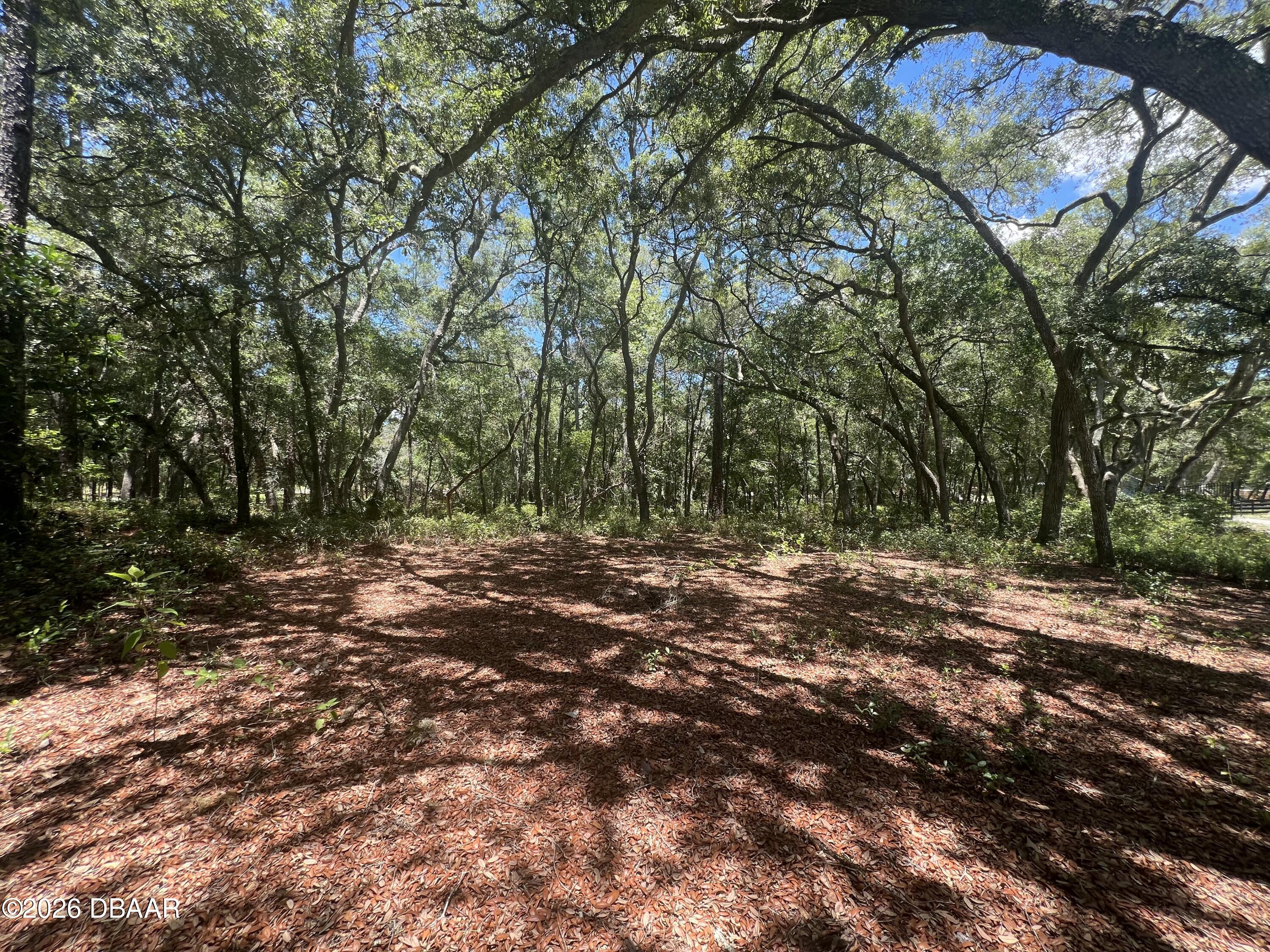 1425 Renbar Road De Leon Springs, FL 32130 - Photo 11 of 16 IMG_3573