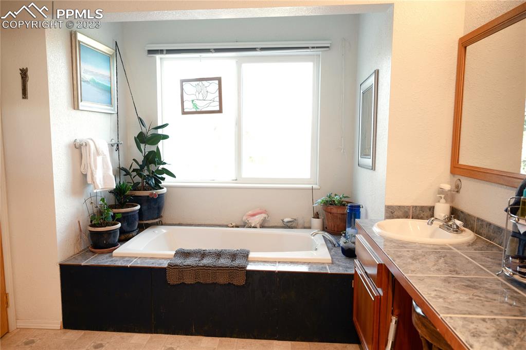 3370 Schieffelin Road Fort Garland, CO 81133 - Photo 25 of 46 a bathroom with a sink and a mirror