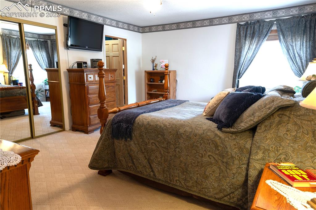 3370 Schieffelin Road Fort Garland, CO 81133 - Photo 29 of 46 a bedroom with a bed and a window