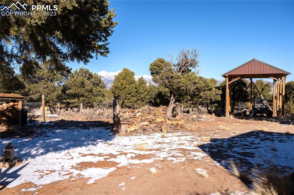 3370 Schieffelin Road Fort Garland, CO 81133 - Photo 36 of 46 a view of a yard with a tree