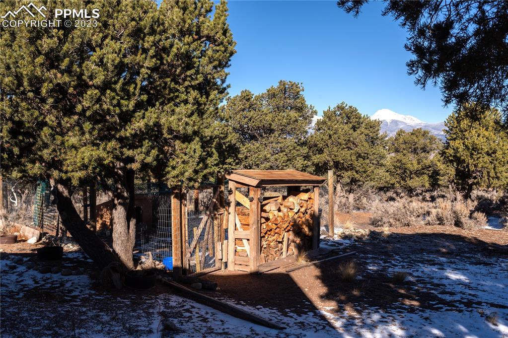 3370 Schieffelin Road Fort Garland, CO 81133 - Photo 40 of 46 a view of a pathway with a tree