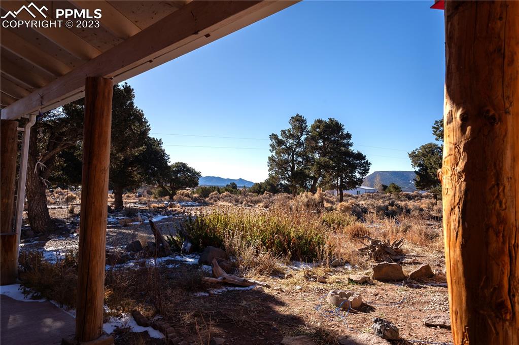 3370 Schieffelin Road Fort Garland, CO 81133 - Photo 44 of 46 a view of a forest