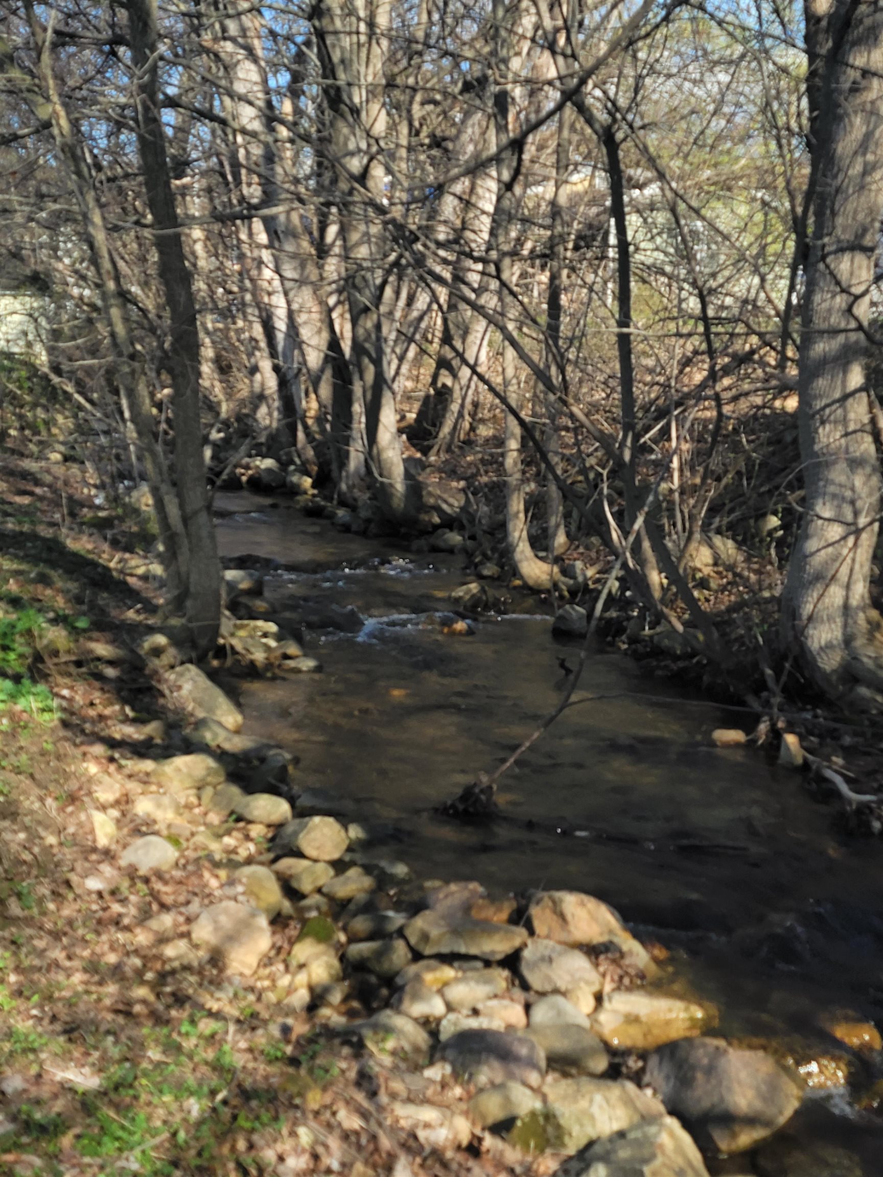 951 Gage Street Bennington, VT 05201 - Photo 34 of 45