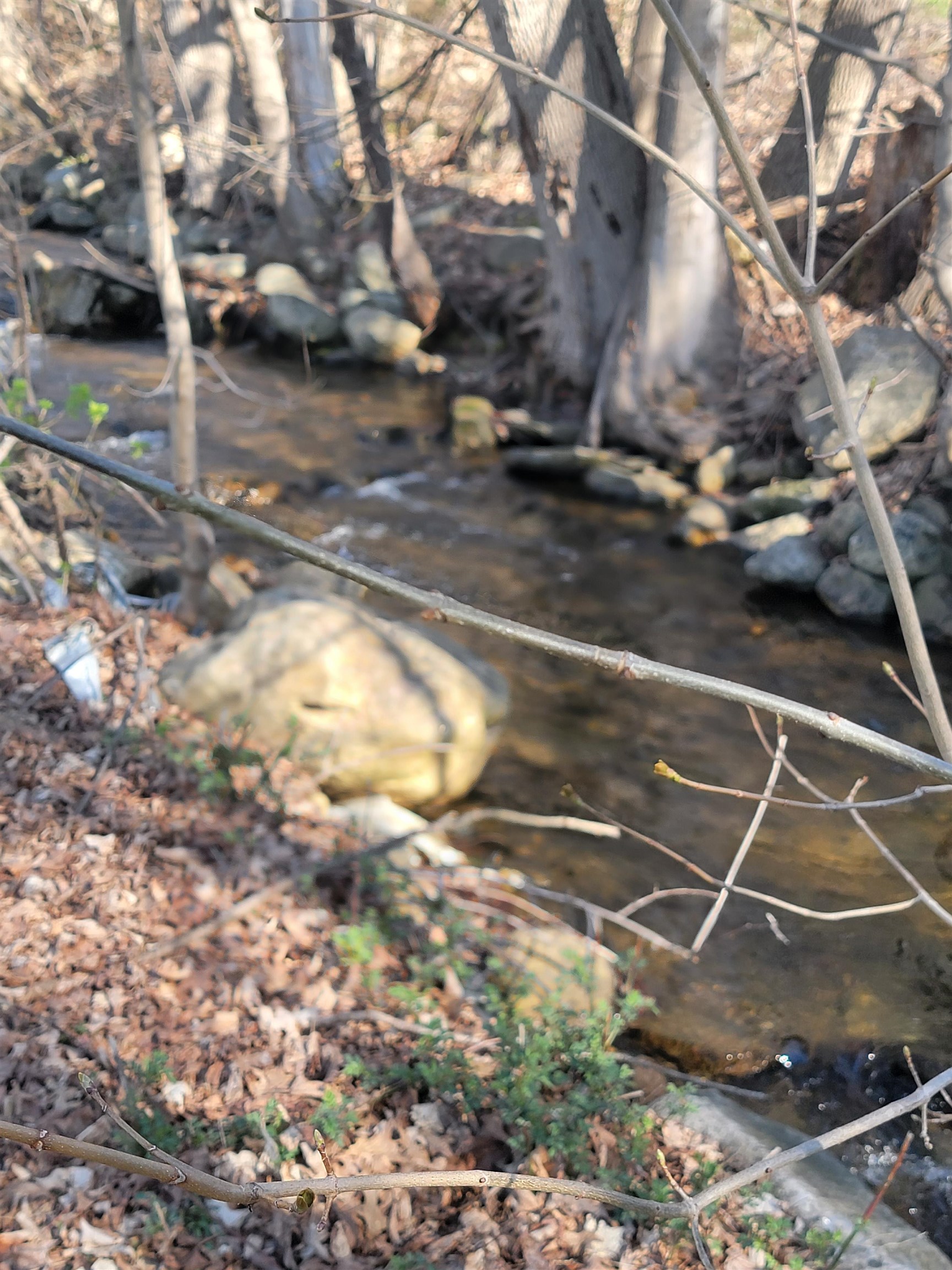 951 Gage Street Bennington, VT 05201 - Photo 35 of 45