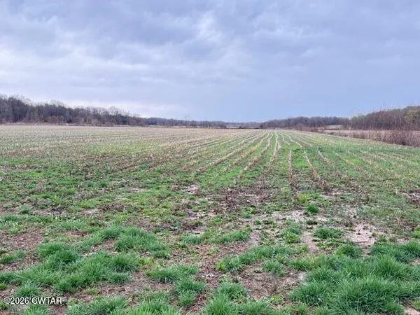 $200,000 | 0 Strayleaf Road, Wildersville, TN 38388