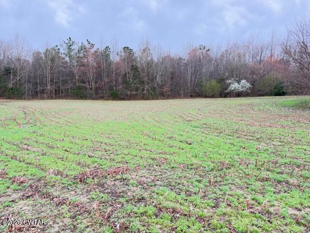 0 Strayleaf Road Wildersville, TN 38388 - Photo 11 of 24 IMG_5617