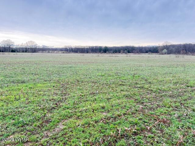 0 Strayleaf Road Wildersville, TN 38388 - Photo 12 of 24 IMG_5619