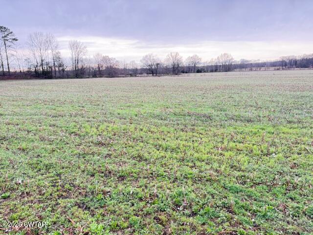 0 Strayleaf Road Wildersville, TN 38388 - Photo 13 of 24 IMG_5620