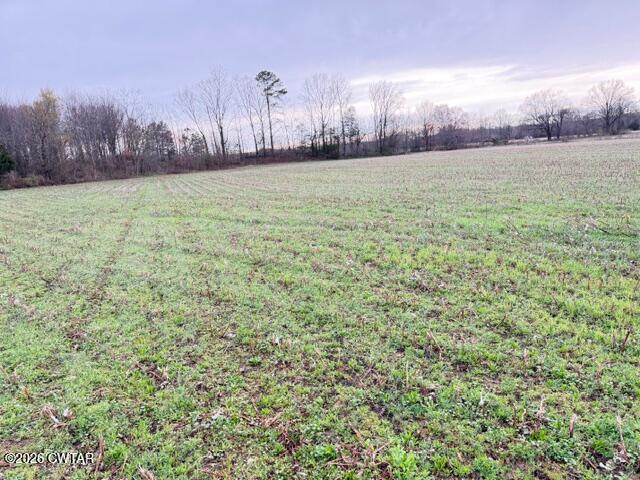 0 Strayleaf Road Wildersville, TN 38388 - Photo 14 of 24 IMG_5621