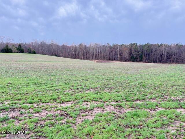 0 Strayleaf Road Wildersville, TN 38388 - Photo 15 of 24 IMG_5603