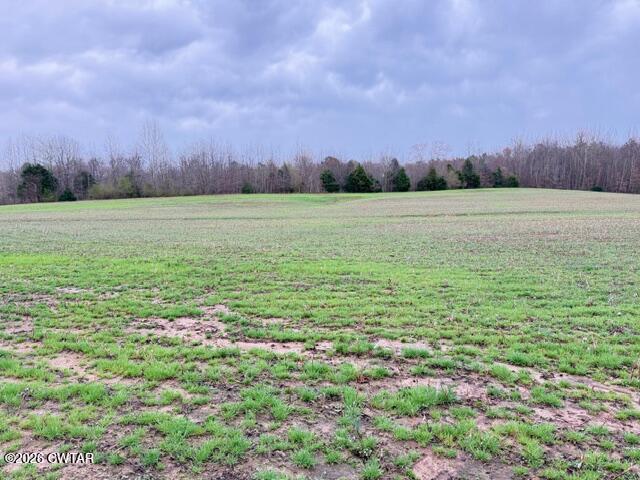 0 Strayleaf Road Wildersville, TN 38388 - Photo 16 of 24 IMG_5604