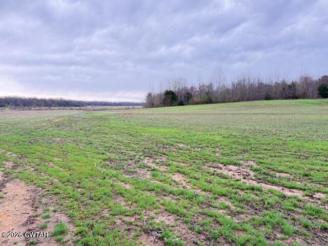 0 Strayleaf Road Wildersville, TN 38388 - Photo 17 of 24 IMG_5606