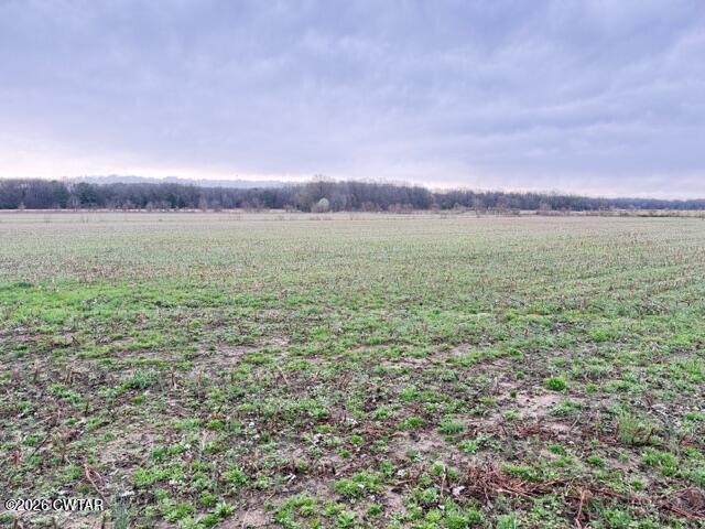 0 Strayleaf Road Wildersville, TN 38388 - Photo 19 of 24 IMG_5613