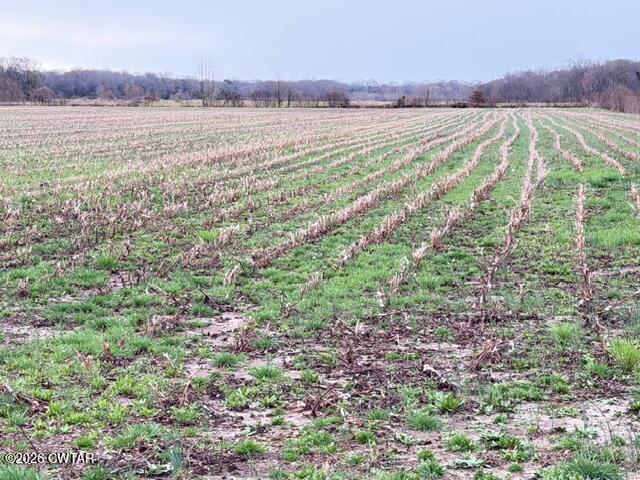 0 Strayleaf Road Wildersville, TN 38388 - Photo 2 of 24 IMG_5627