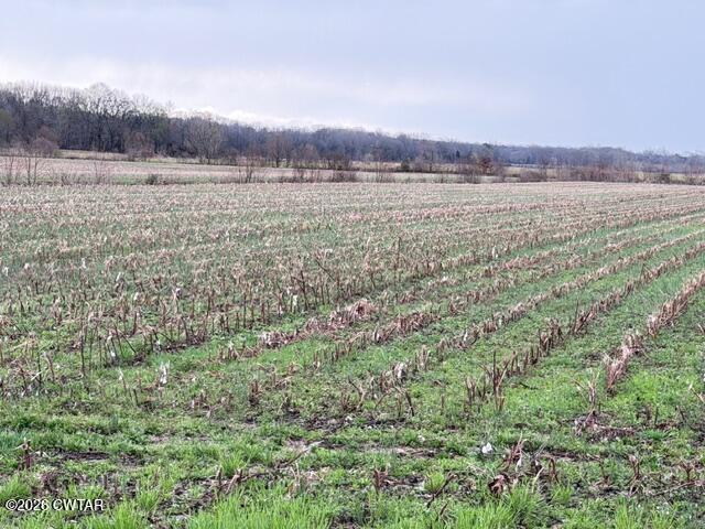 0 Strayleaf Road Wildersville, TN 38388 - Photo 3 of 24 IMG_5626