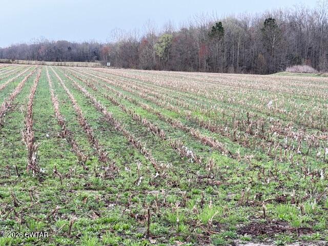 0 Strayleaf Road Wildersville, TN 38388 - Photo 4 of 24 IMG_5625