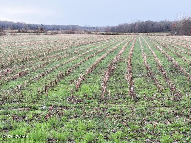 0 Strayleaf Road Wildersville, TN 38388 - Photo 5 of 24 IMG_5624