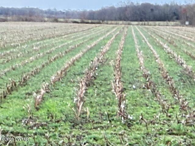 0 Strayleaf Road Wildersville, TN 38388 - Photo 6 of 24 IMG_5623