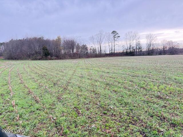 0 Strayleaf Road Wildersville, TN 38388 - Photo 7 of 24 IMG_5622