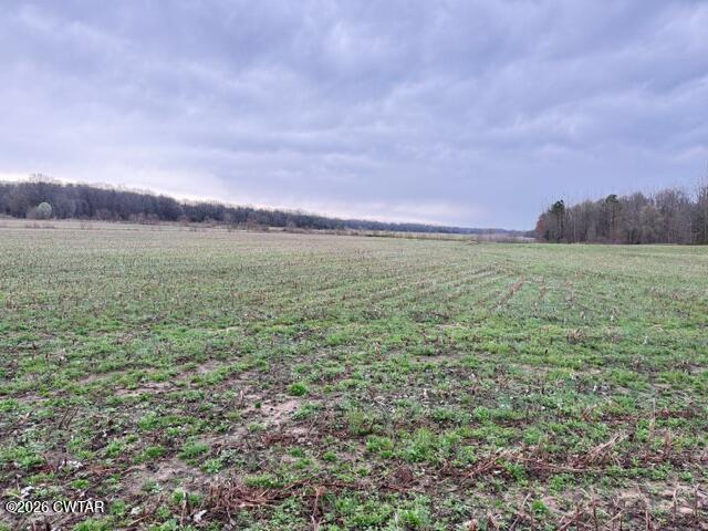 0 Strayleaf Road Wildersville, TN 38388 - Photo 8 of 24 IMG_5614