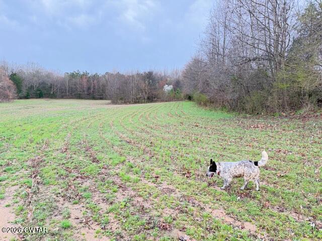 0 Strayleaf Road Wildersville, TN 38388 - Photo 9 of 24 IMG_5615