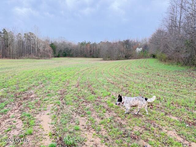 0 Strayleaf Road Wildersville, TN 38388 - Photo 10 of 24 IMG_5616