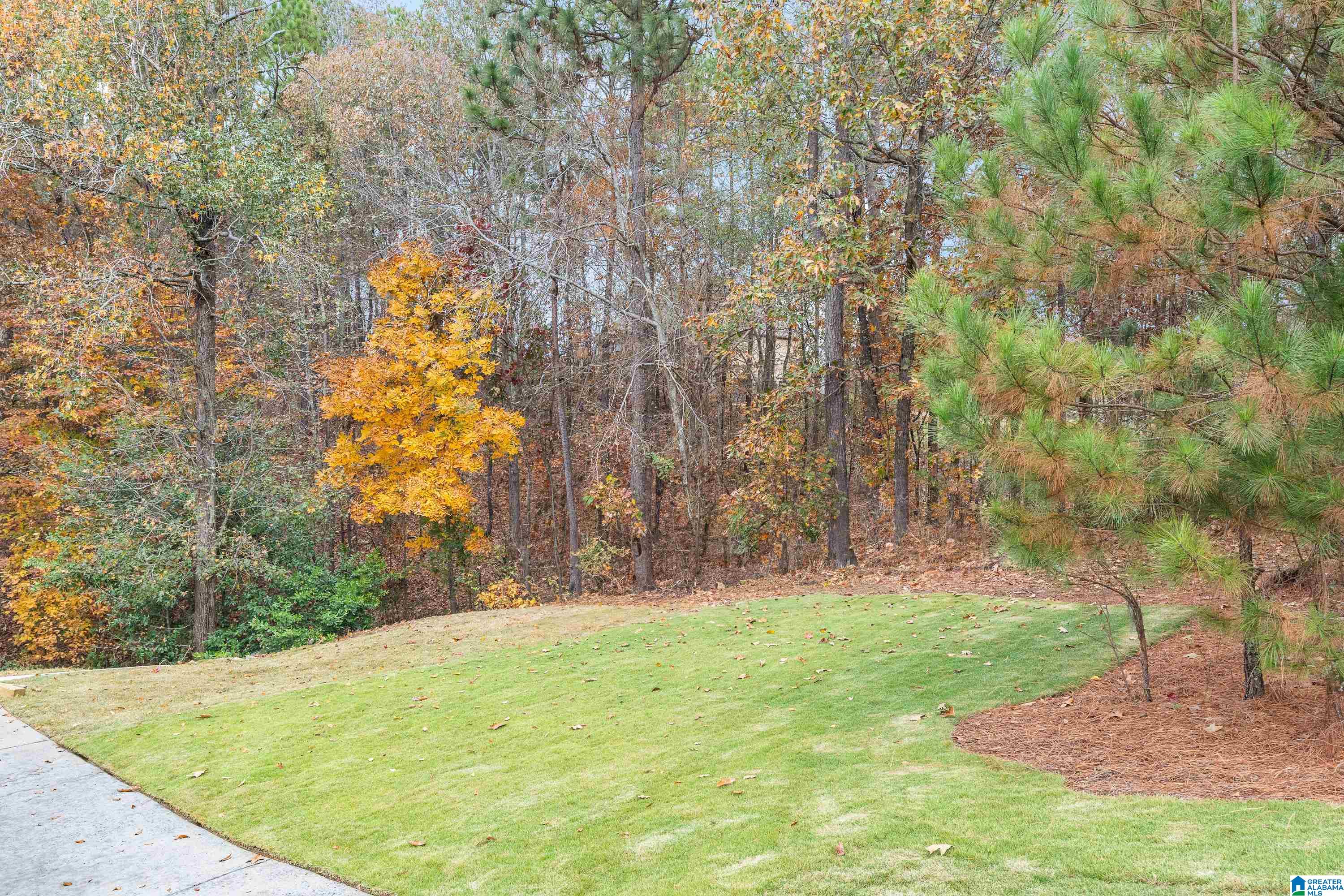 160 Lakeland Ridge Chelsea, AL 35043 - Photo 40 of 40