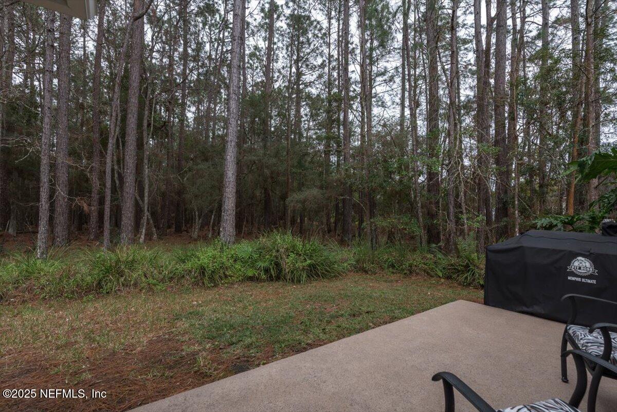 4009 Sioux Circle St. Johns, FL 32259 - Photo 40 of 49 a view of backyard with outdoor and entertaining space