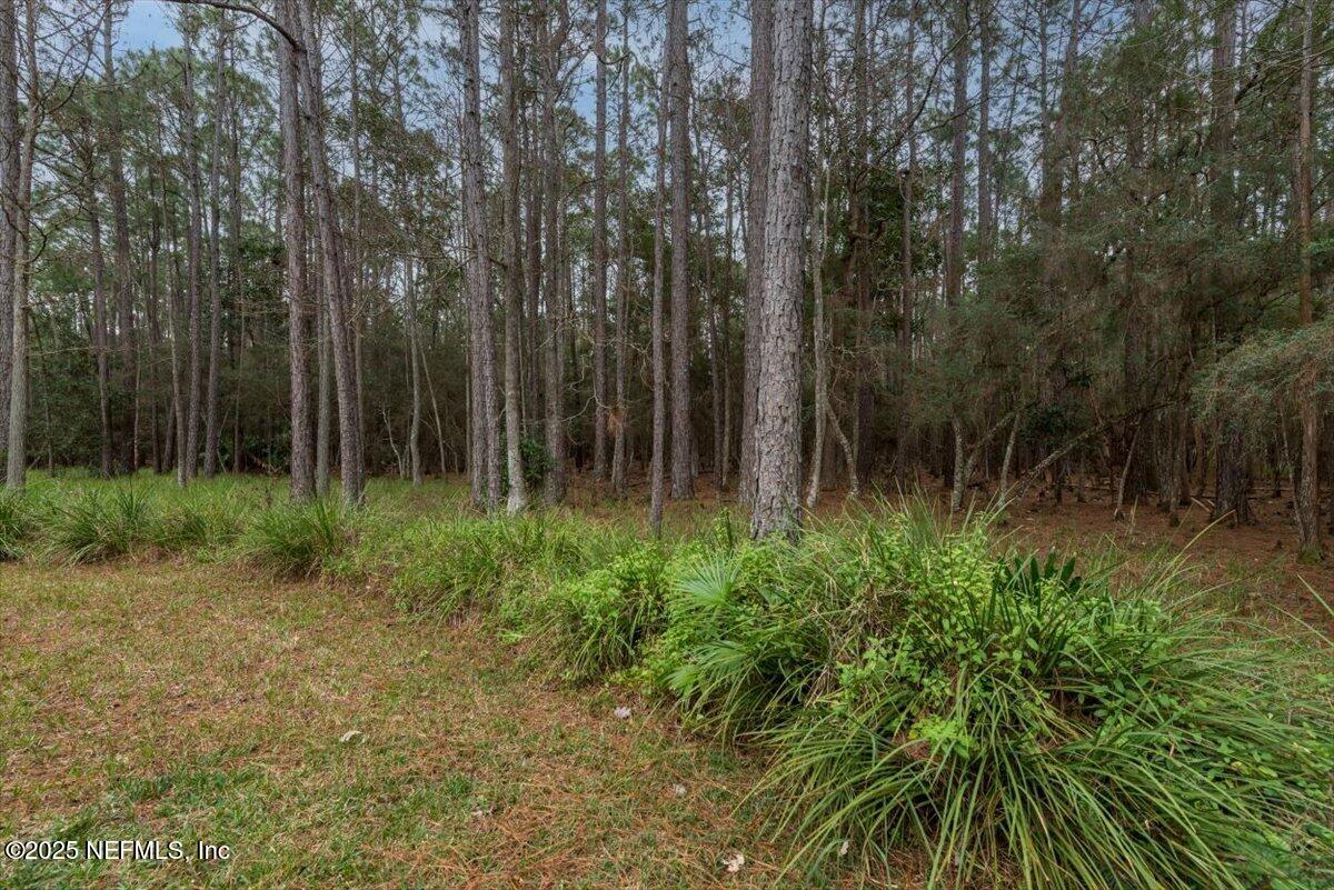 4009 Sioux Circle St. Johns, FL 32259 - Photo 44 of 49 a view of backyard with green space