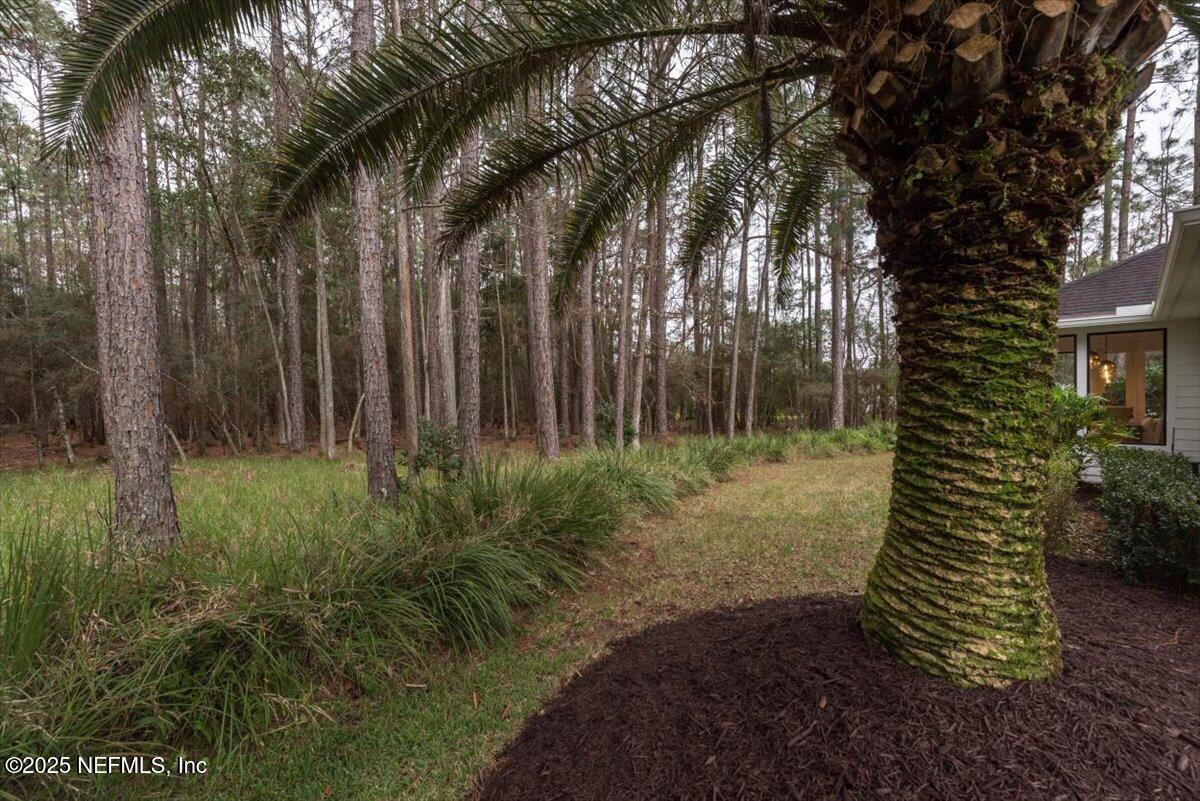 4009 Sioux Circle St. Johns, FL 32259 - Photo 46 of 49 a backyard of a house with lots of green space