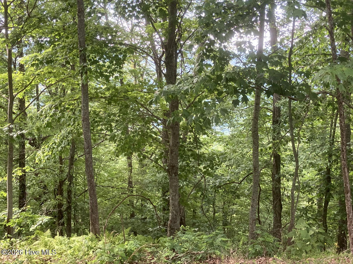 Lot 51 Buck Ridge Drive Murphy, NC 28906 - Photo 10 of 10