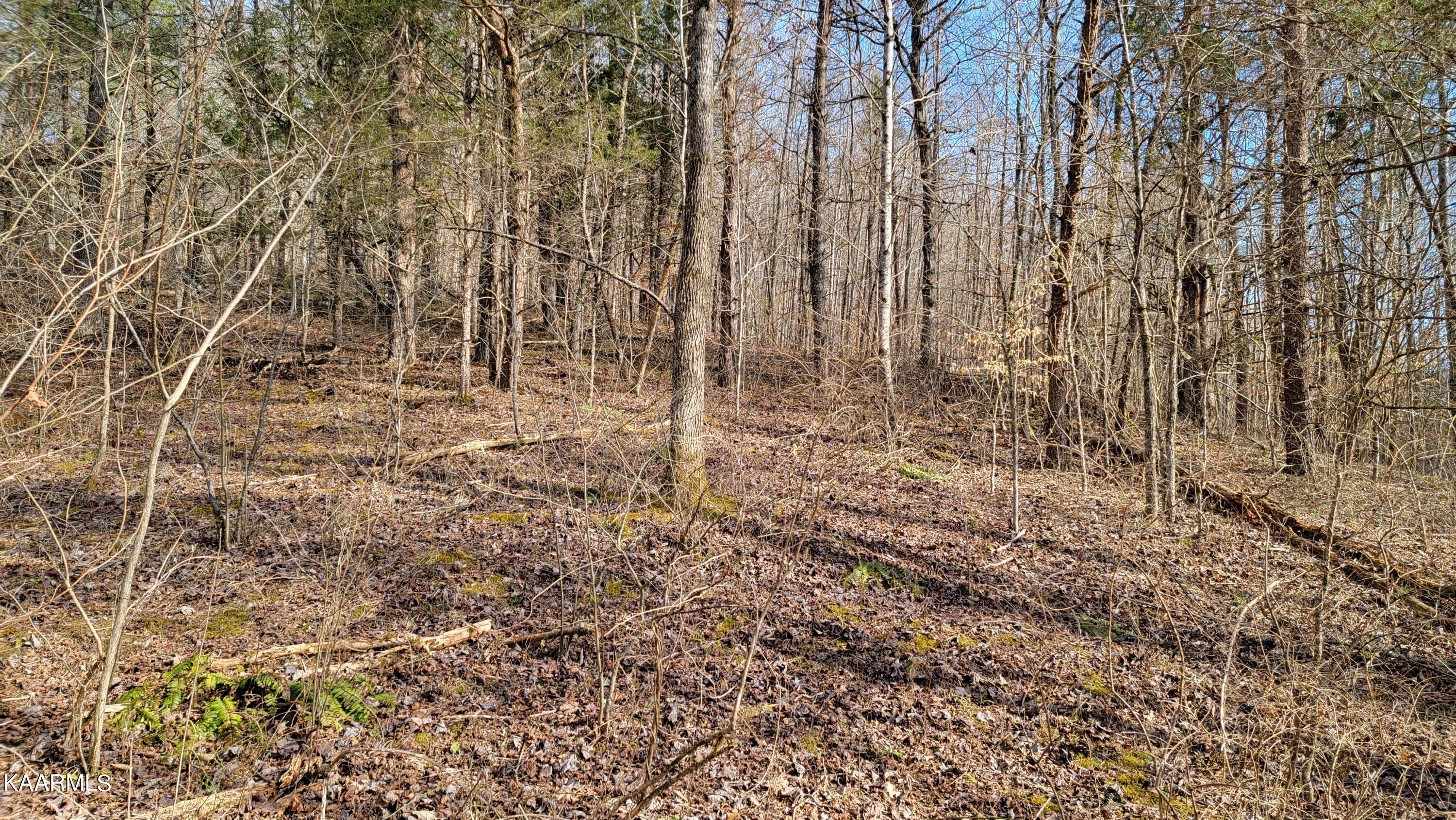 521 Lamb Road Sneedville, TN 37869 - Photo 11 of 33 20230222_153610