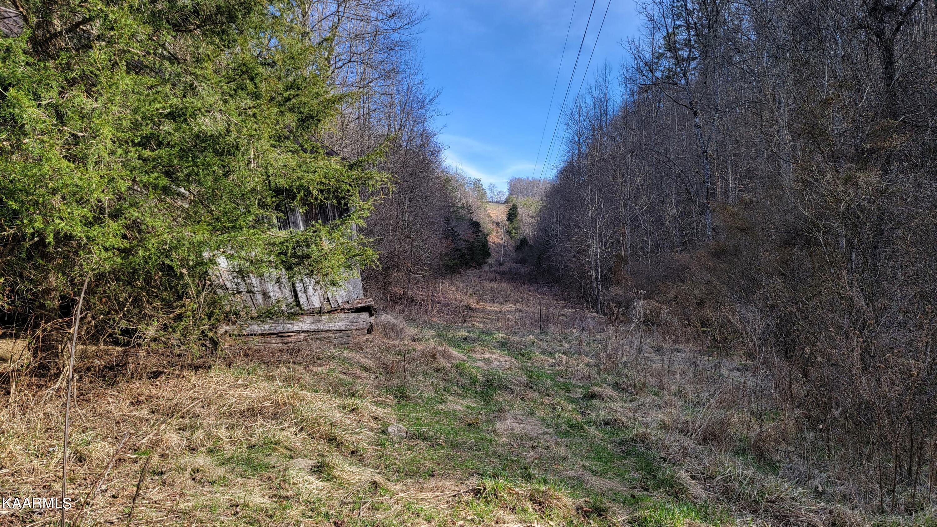 521 Lamb Road Sneedville, TN 37869 - Photo 17 of 33 20230222_153849