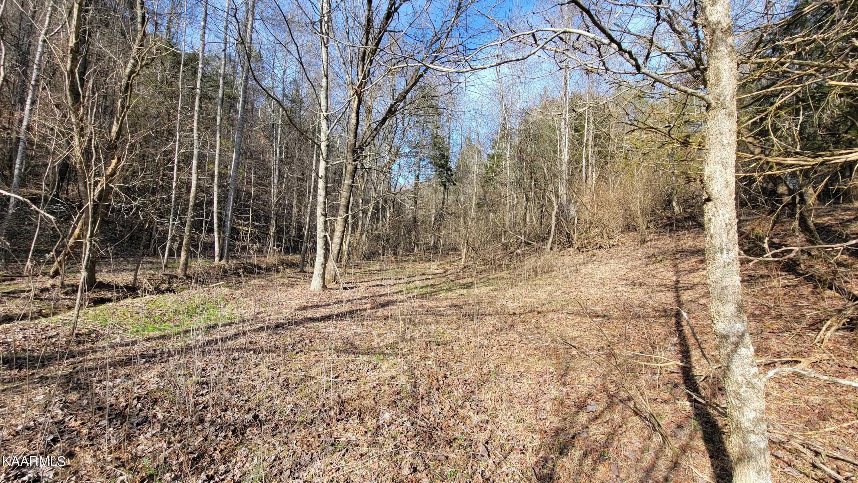 521 Lamb Road Sneedville, TN 37869 - Photo 19 of 33 20230222_154101
