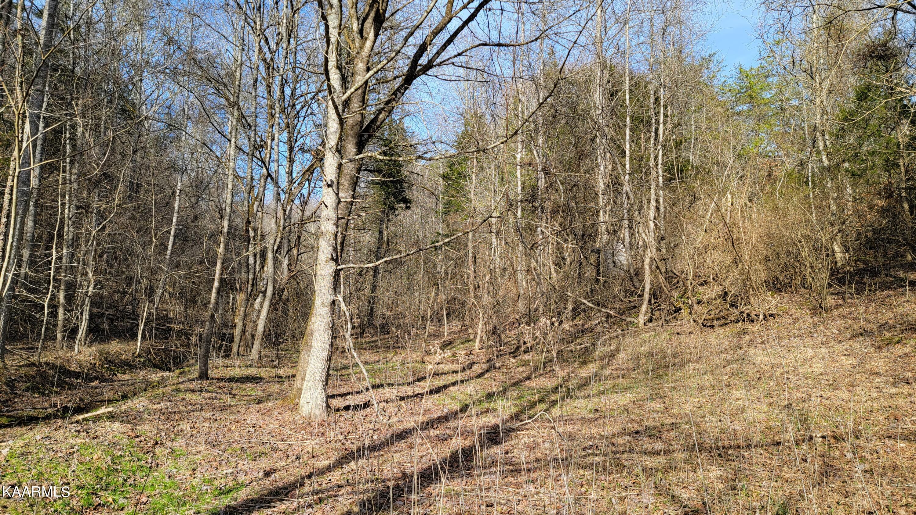 521 Lamb Road Sneedville, TN 37869 - Photo 20 of 33 20230222_154112