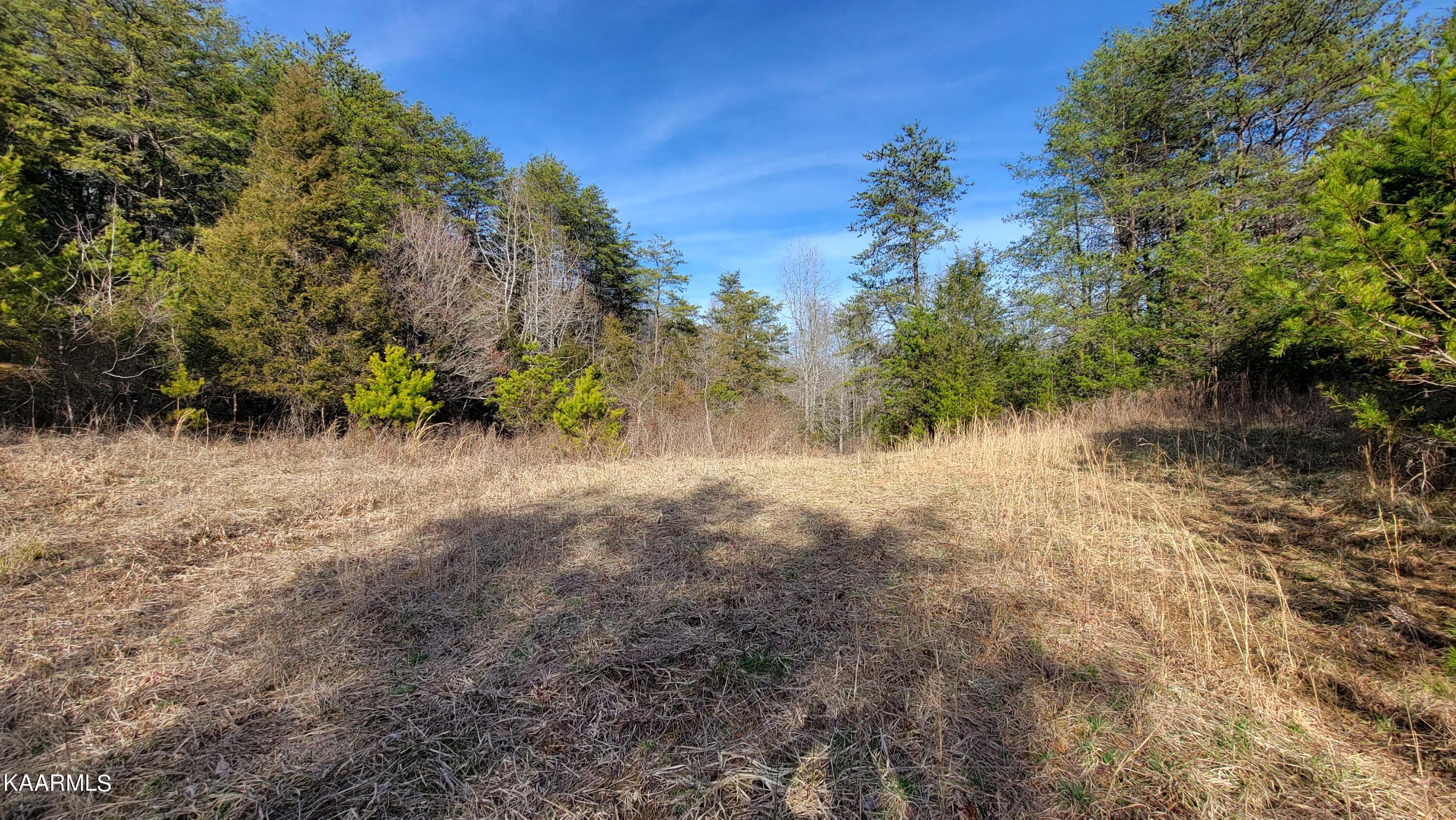 521 Lamb Road Sneedville, TN 37869 - Photo 22 of 33 20230222_154847