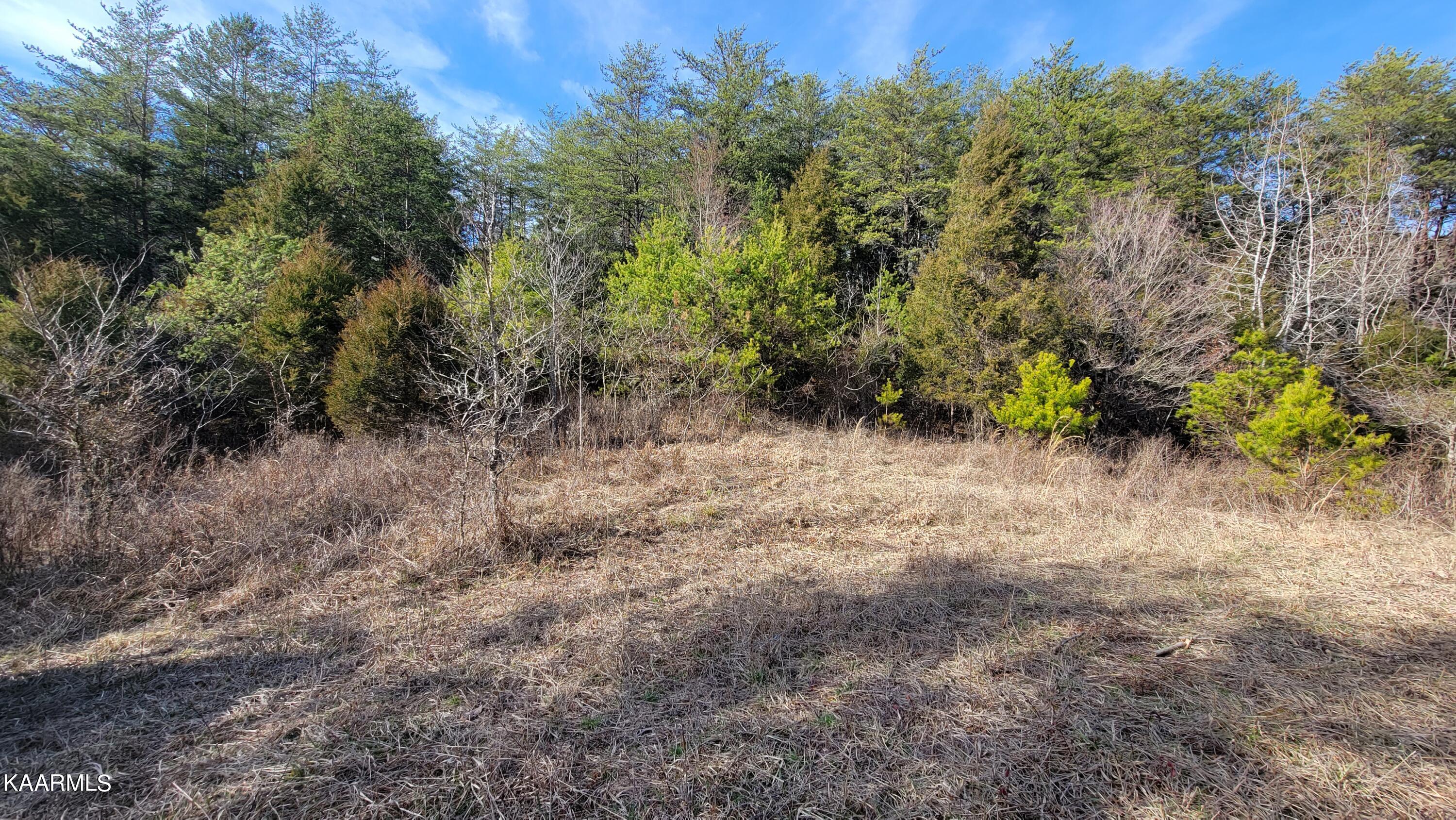 521 Lamb Road Sneedville, TN 37869 - Photo 23 of 33 20230222_154858