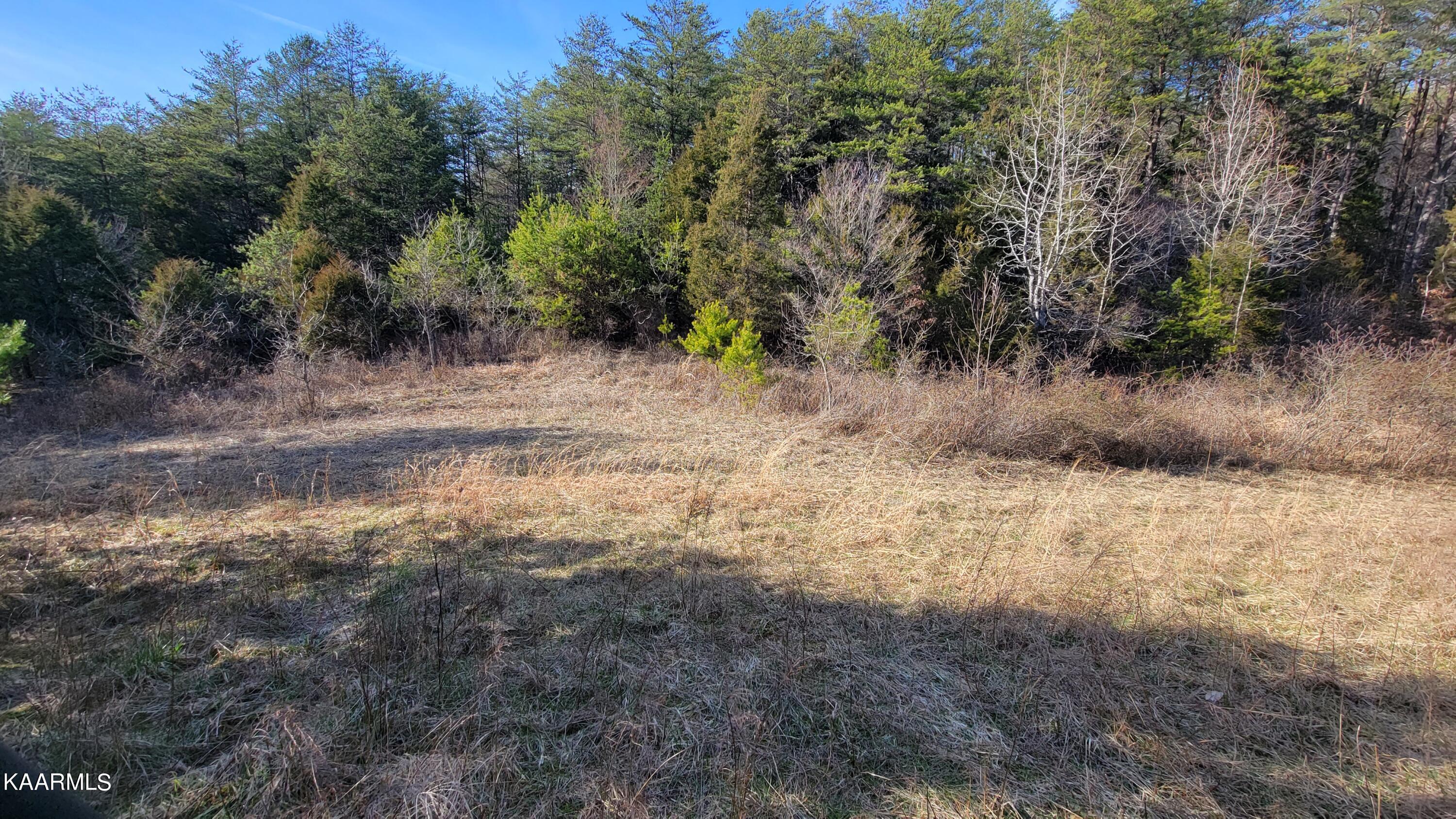 521 Lamb Road Sneedville, TN 37869 - Photo 24 of 33 20230222_160816