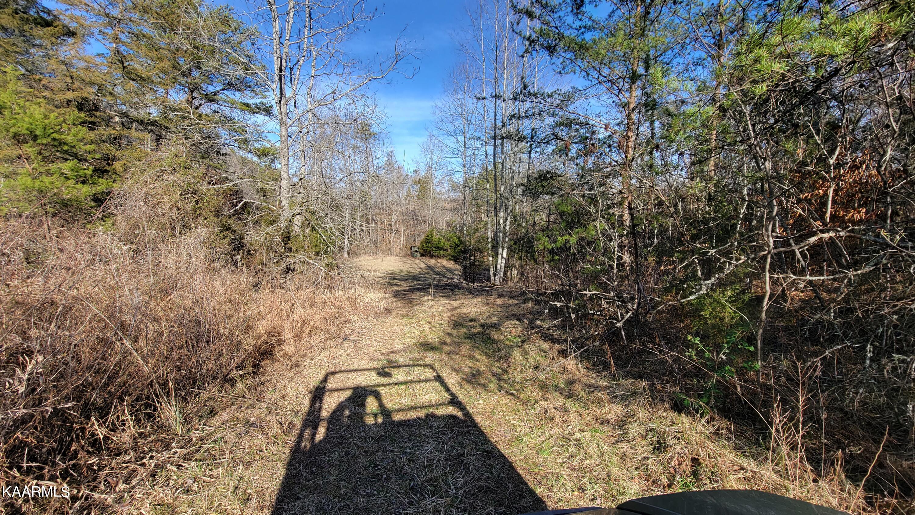 521 Lamb Road Sneedville, TN 37869 - Photo 25 of 33 20230222_160833