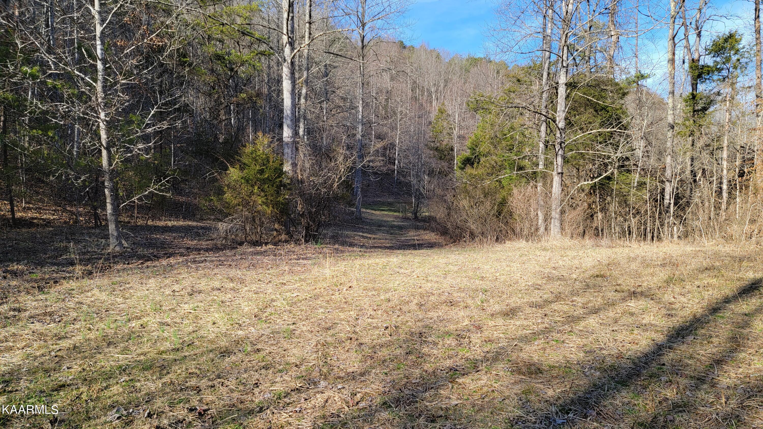521 Lamb Road Sneedville, TN 37869 - Photo 26 of 33 20230222_160908