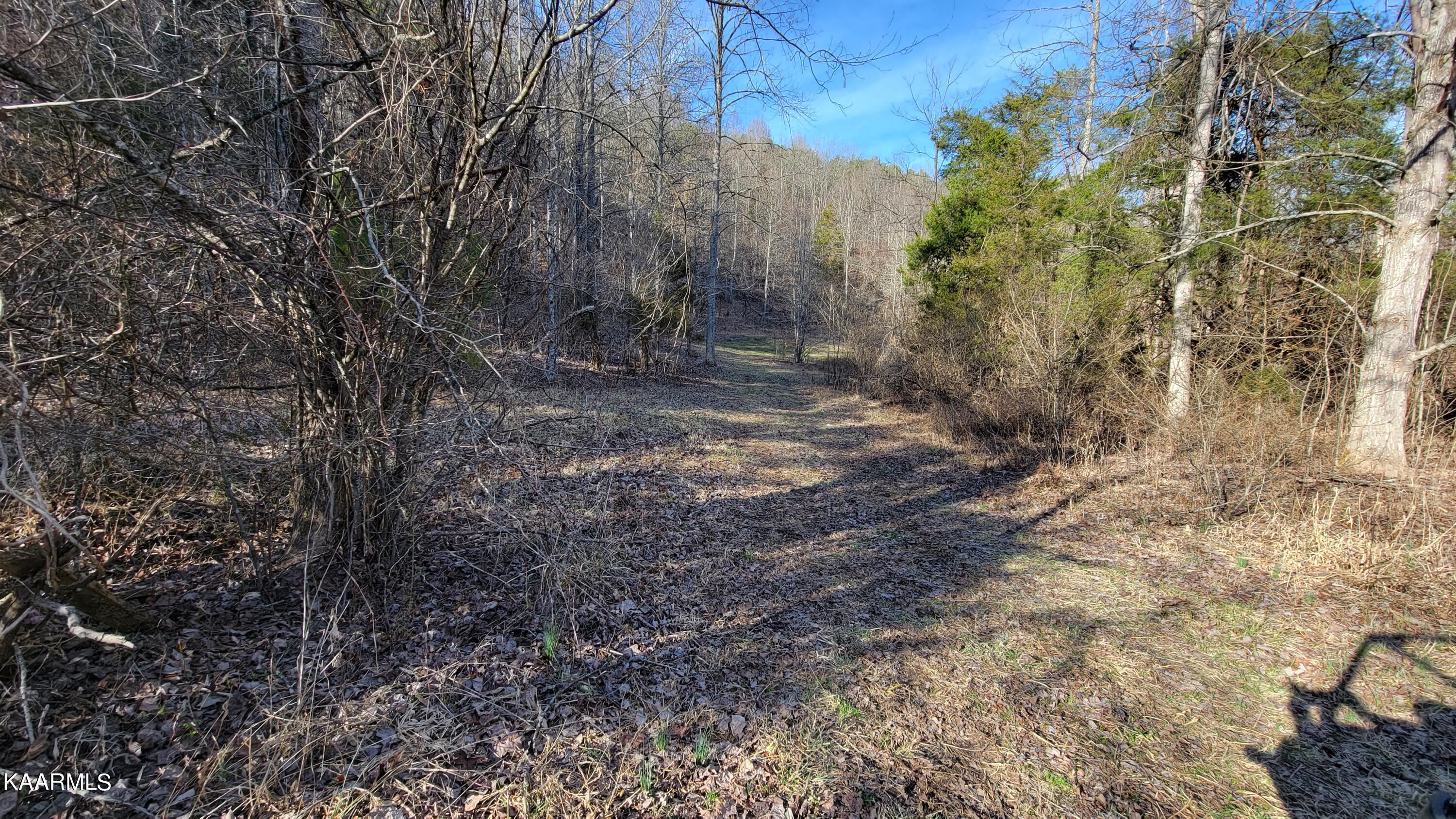 521 Lamb Road Sneedville, TN 37869 - Photo 27 of 33 20230222_161006