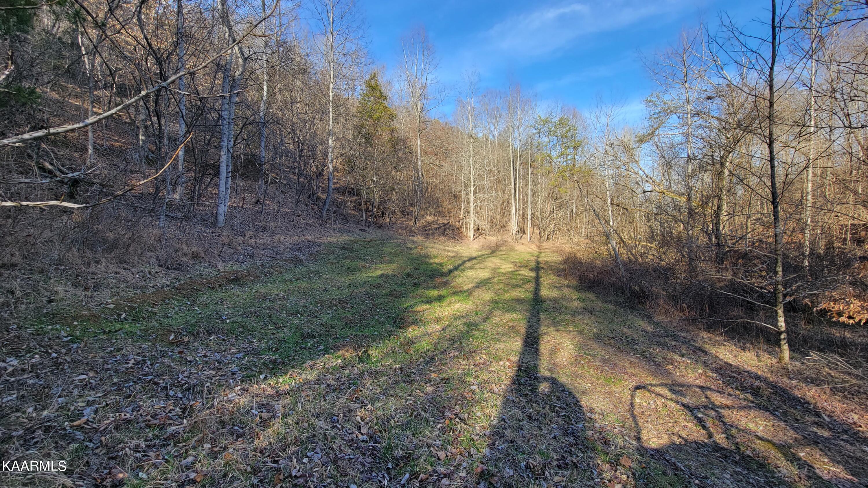521 Lamb Road Sneedville, TN 37869 - Photo 28 of 33 20230222_161044