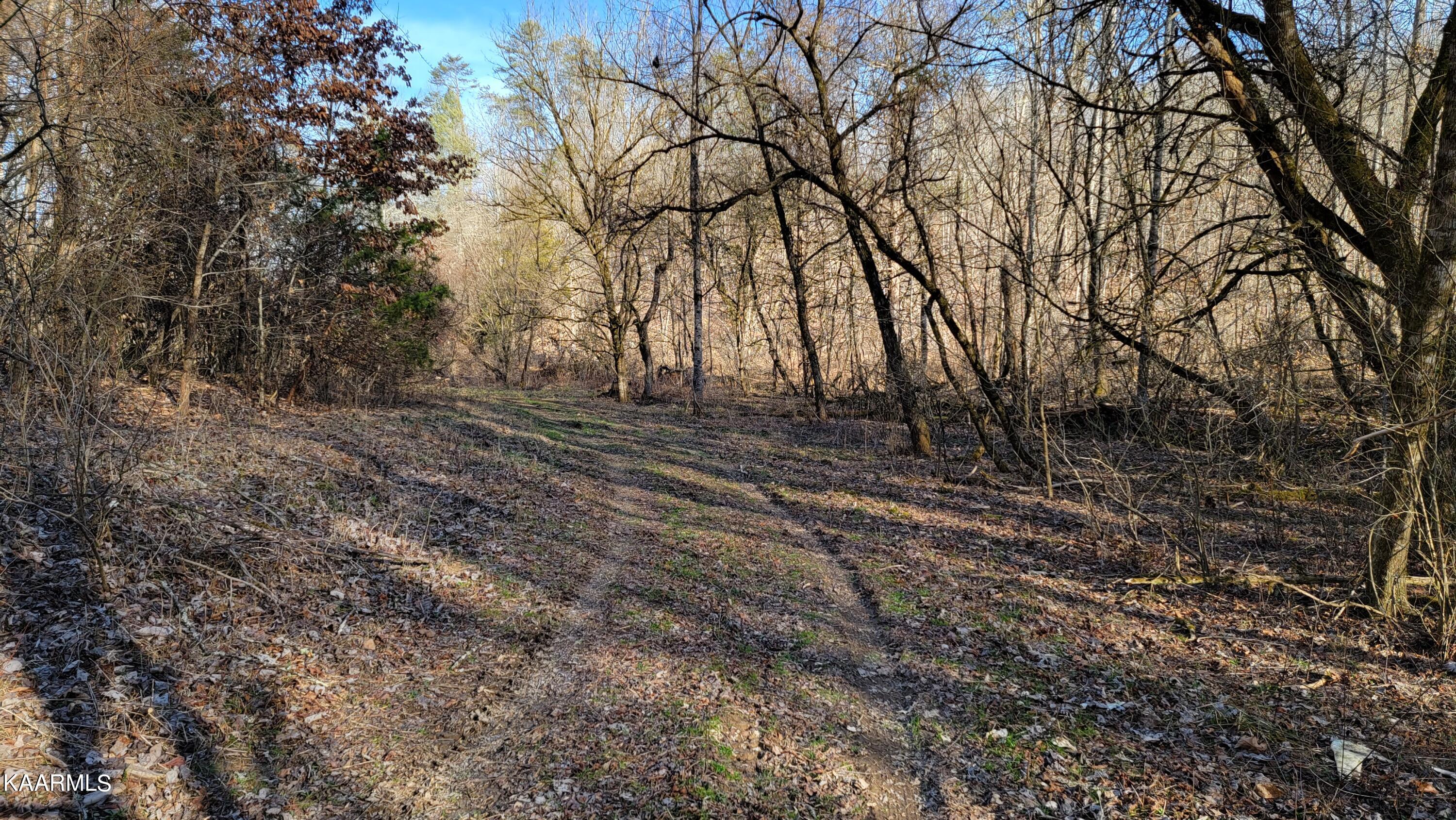 521 Lamb Road Sneedville, TN 37869 - Photo 30 of 33 20230222_161251