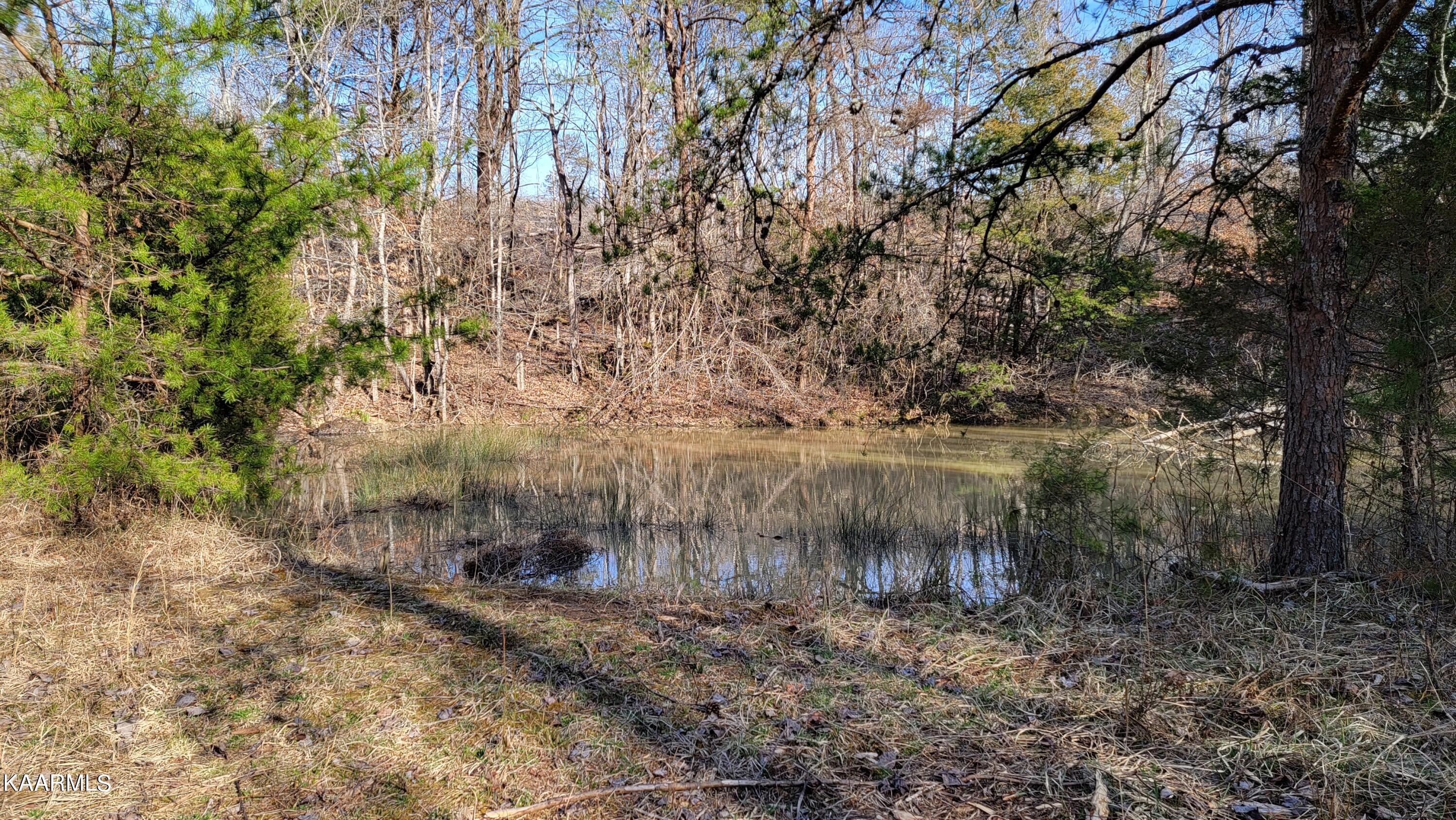 521 Lamb Road Sneedville, TN 37869 - Photo 31 of 33 Pond 1