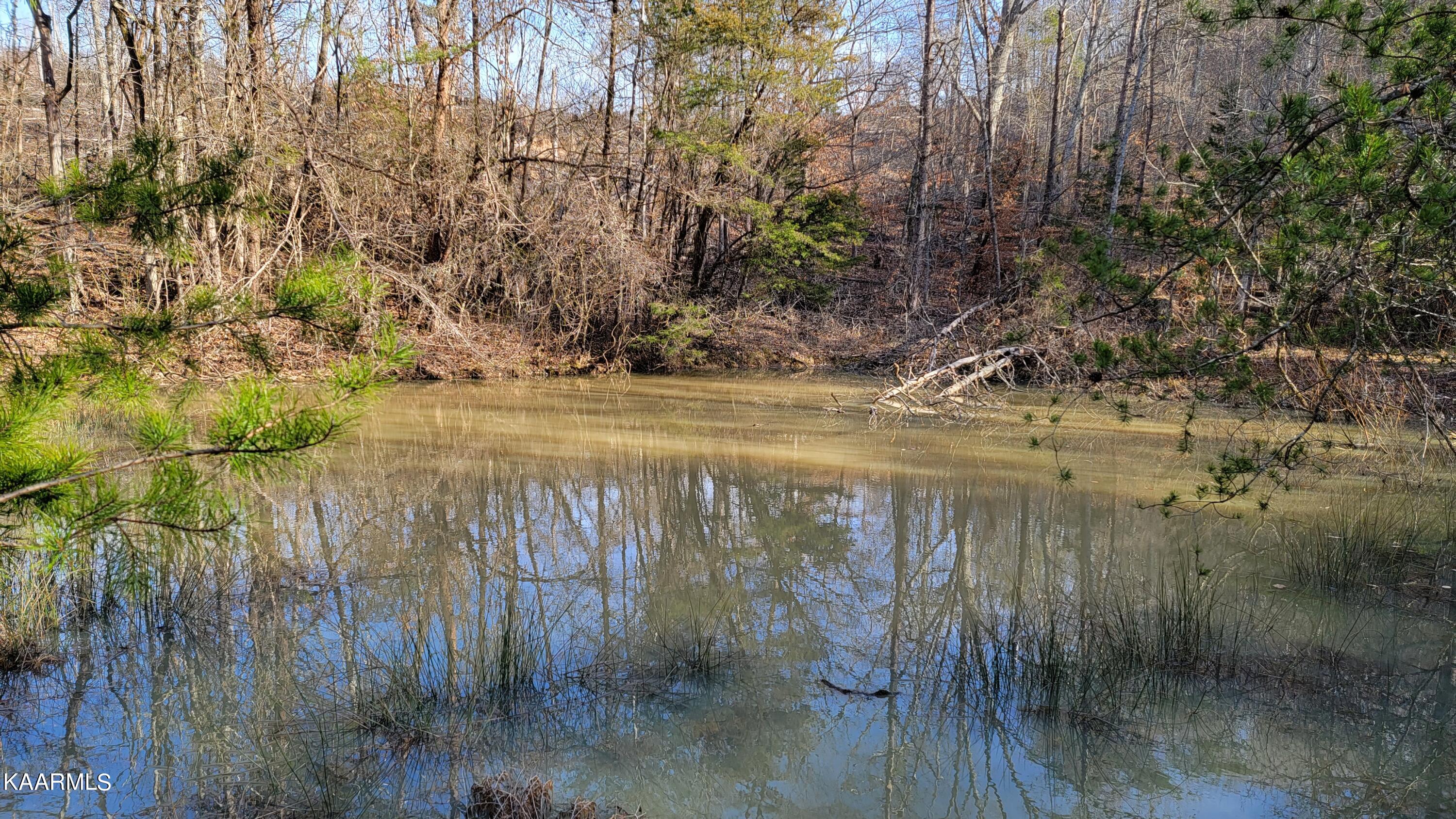 521 Lamb Road Sneedville, TN 37869 - Photo 32 of 33 Pond 2